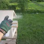 6 | Moje Dvorište | Moje Dvorište