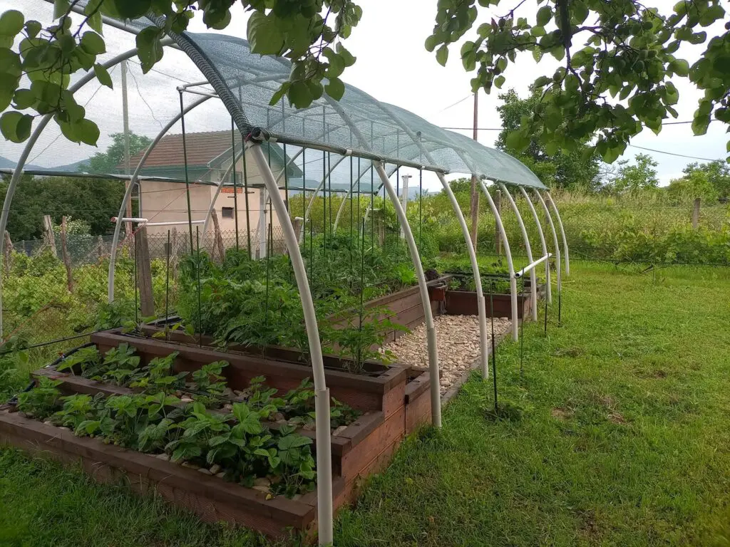 Baštenska gredica sa zasenom | Moje Dvorište Baštenska gredica sa zasenom | Moje Dvorište