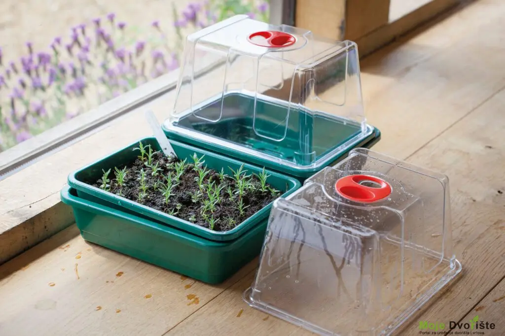 420208-1-60921 | Moje Dvorište Kako sejati seme? - Propagator | Moje Dvorište