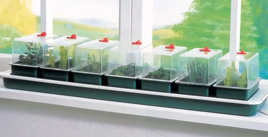 Kako sejati seme u zatvorenom prostoru | Moje Dvorište Kako sejati seme u zatvorenom prostoru | Moje Dvorište