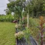 IMG-20220706-084112 | Moje Dvorište geotekstil | Moje Dvorište