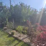 IMG-20220716-160922 | Moje Dvorište | Moje Dvorište