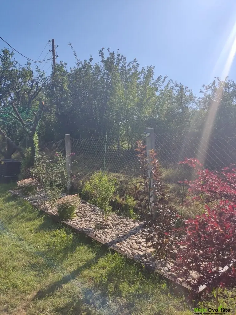 IMG-20220716-160922 | Moje Dvorište Malč i malčiranje - rečni oblutak | Moje Dvorište