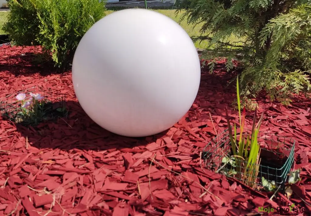 IMG_20220523_092810 | Moje Dvorište Malč | Moje Dvorište