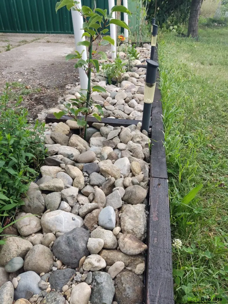 IMG_20230807_173516 | Moje Dvorište Kameni malč | Moje Dvorište