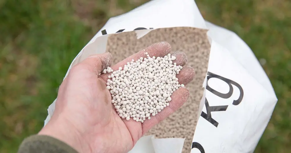 Sporotopiva đubriva | Moje Dvorište Sporotopiva đubriva | Moje Dvorište