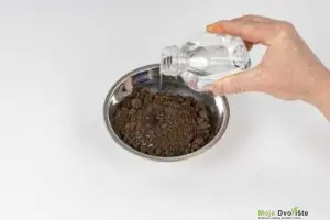 11 | Moje Dvorište | Moje Dvorište