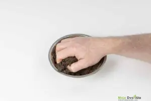 12 | Moje Dvorište | Moje Dvorište