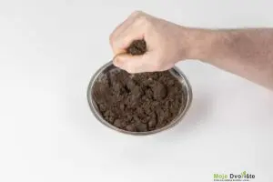 13 | Moje Dvorište | Moje Dvorište