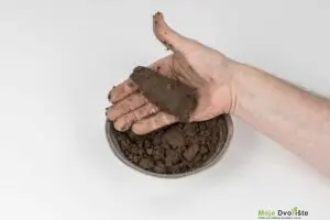 15 | Moje Dvorište | Moje Dvorište