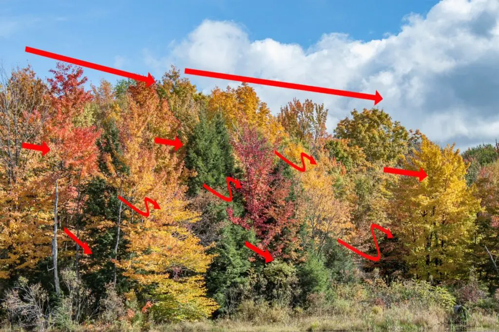 Deciduous-trees-with-open-canopies-tend-to-reduce-wind-velocity-1024x683 | Moje Dvorište Specifični uslovi: Listopadno drveće sa otvorenim krošnjama ima tendenciju da smanji brzinu vetra | Moje Dvorište