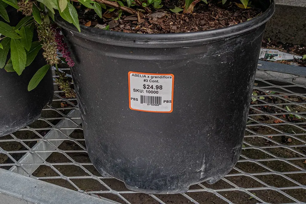 Nazivi biljaka - binomna nomenklatura 2 | Moje Dvorište Nazivi biljaka - binomna nomenklatura | Moje Dvorište