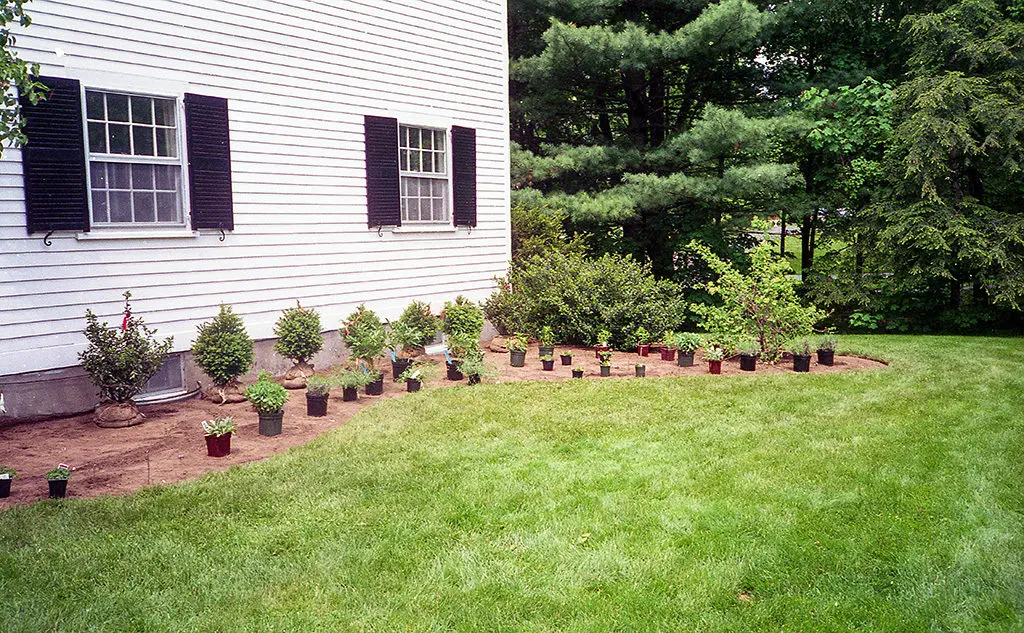 Pregled2 | Moje Dvorište Rasporedite bilјke sa kontejnerom u gredice i sve dobro pregledajte | Moje Dvorište