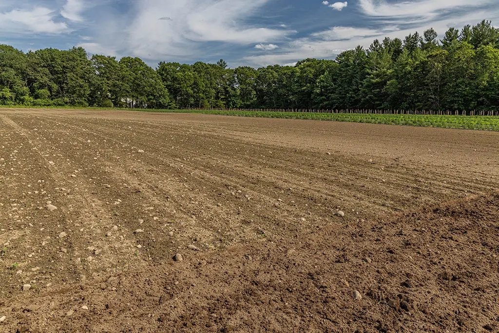 Priprema1 | Moje Dvorište Priprema mesta | Moje Dvorište