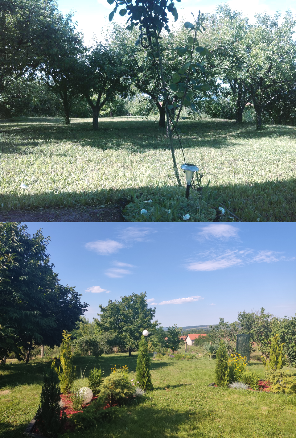 Pre i posle! | Moje Dvorište Dizajn bašte | Moje Dvorište