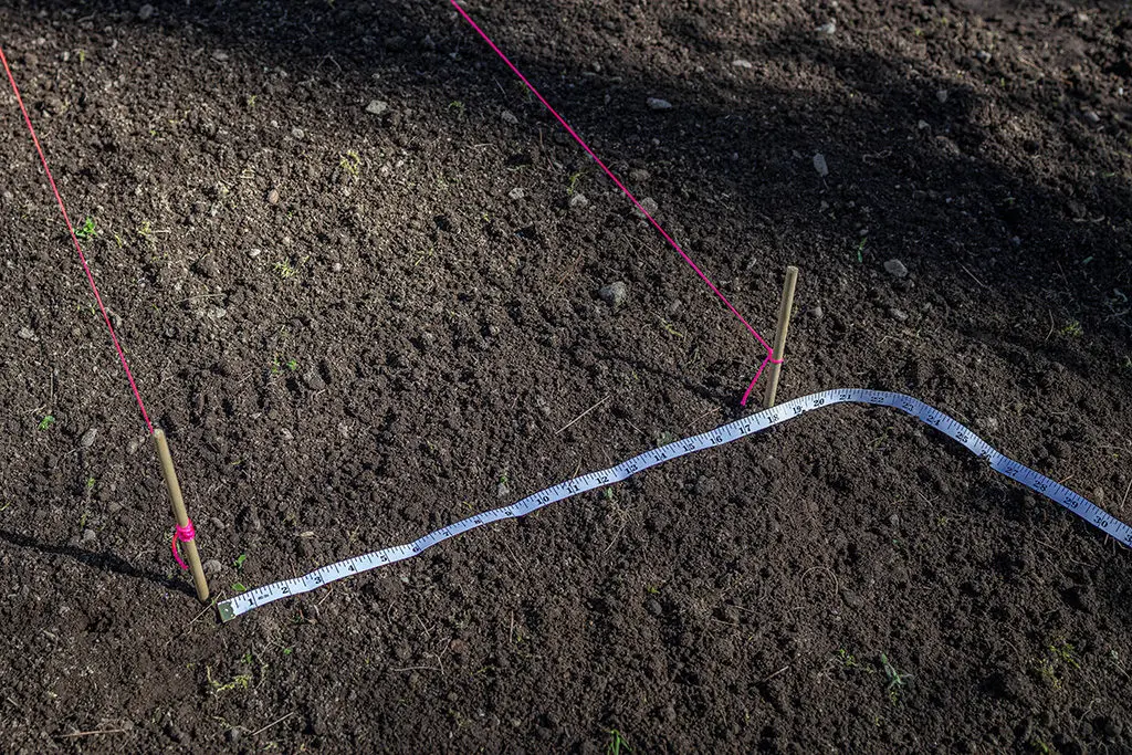 dizajn-5 | Moje Dvorište Izmerite svoju stvarnu baštu | Moje Dvorište