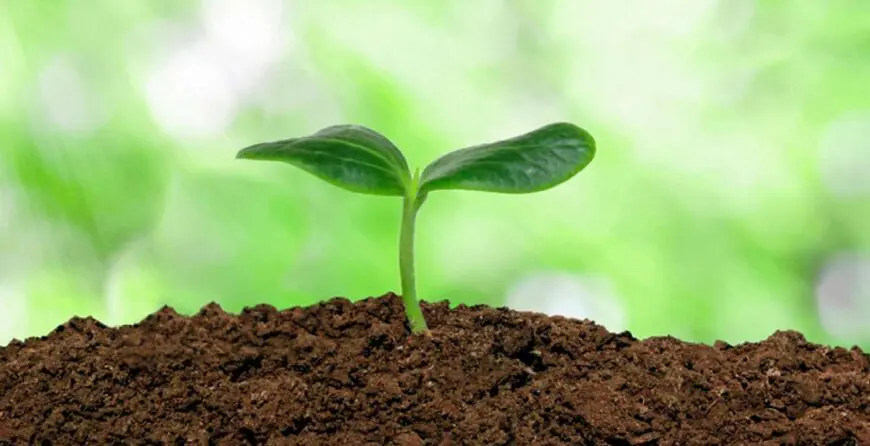 healthy-soil | Moje Dvorište Tlo | Moje Dvorište