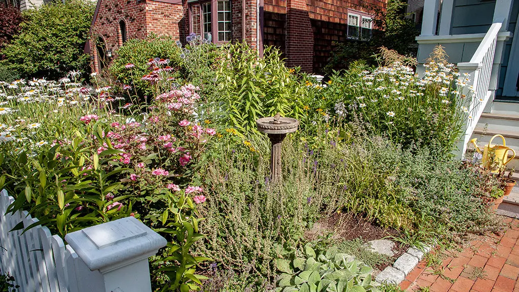 mikroklima | Moje Dvorište Mikro klima | Moje Dvorište