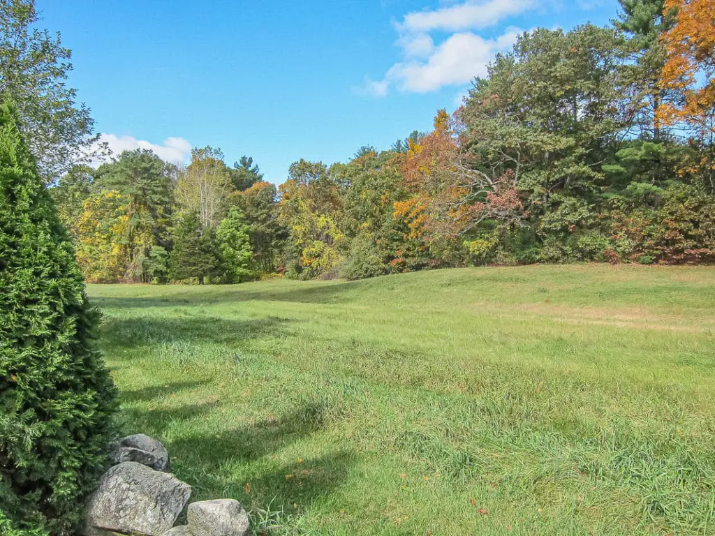lok1 | Moje Dvorište Lokacija vrta i njena analiza | Moje Dvorište