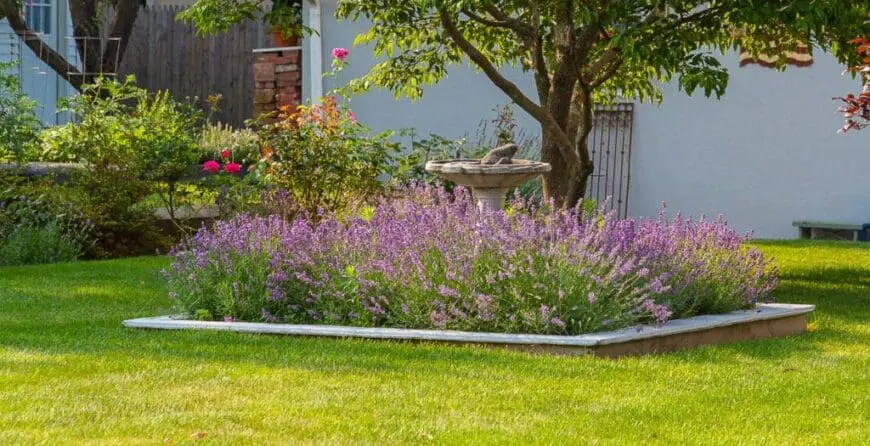 lok2 | Moje Dvorište lokacija | Moje Dvorište