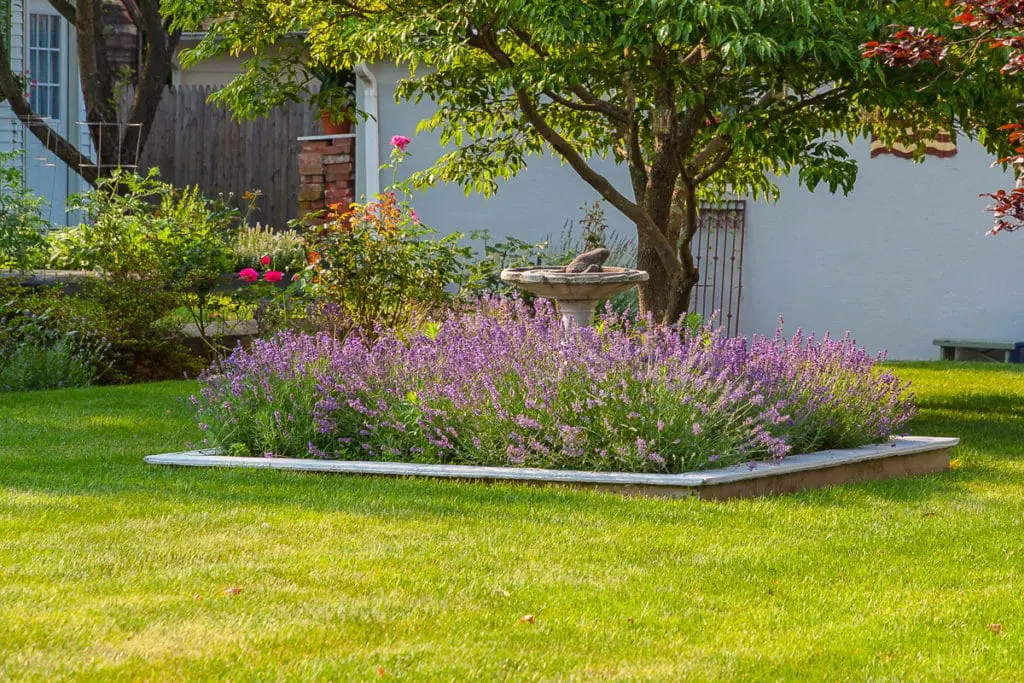 lok2 | Moje Dvorište lokacija | Moje Dvorište