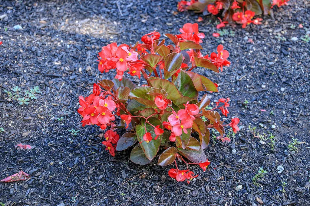 lok3 | Moje Dvorište Lokacija | Moje Dvorište