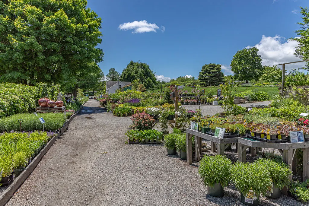 Rasadnik | Moje Dvorište Rasadnik | Moje Dvorište