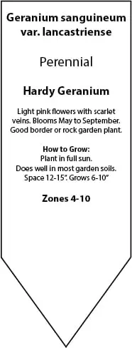 pin | Moje Dvorište Pin | Moje Dvorište