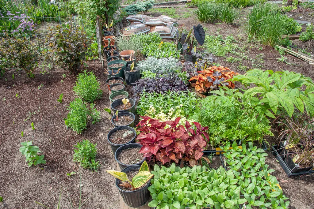 održavanje1 | Moje Dvorište održavanje | Moje Dvorište