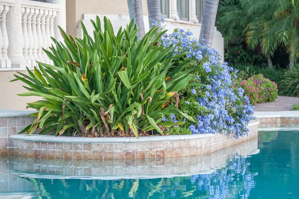 održavanje2 | Moje Dvorište harmonična bašta | Moje Dvorište