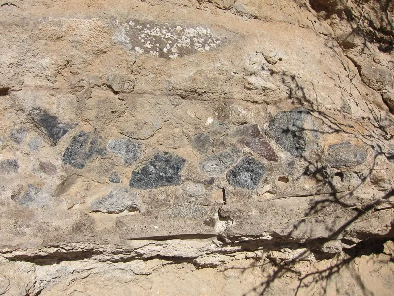 pustinjski kališ | Moje Dvorište pustinjski kališ | Moje Dvorište