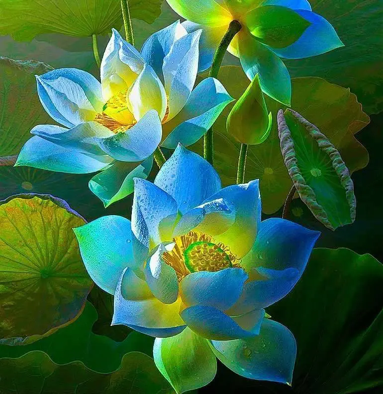 308654065_194121333001662_7276621916877772018_n | Moje Dvorište | Moje Dvorište