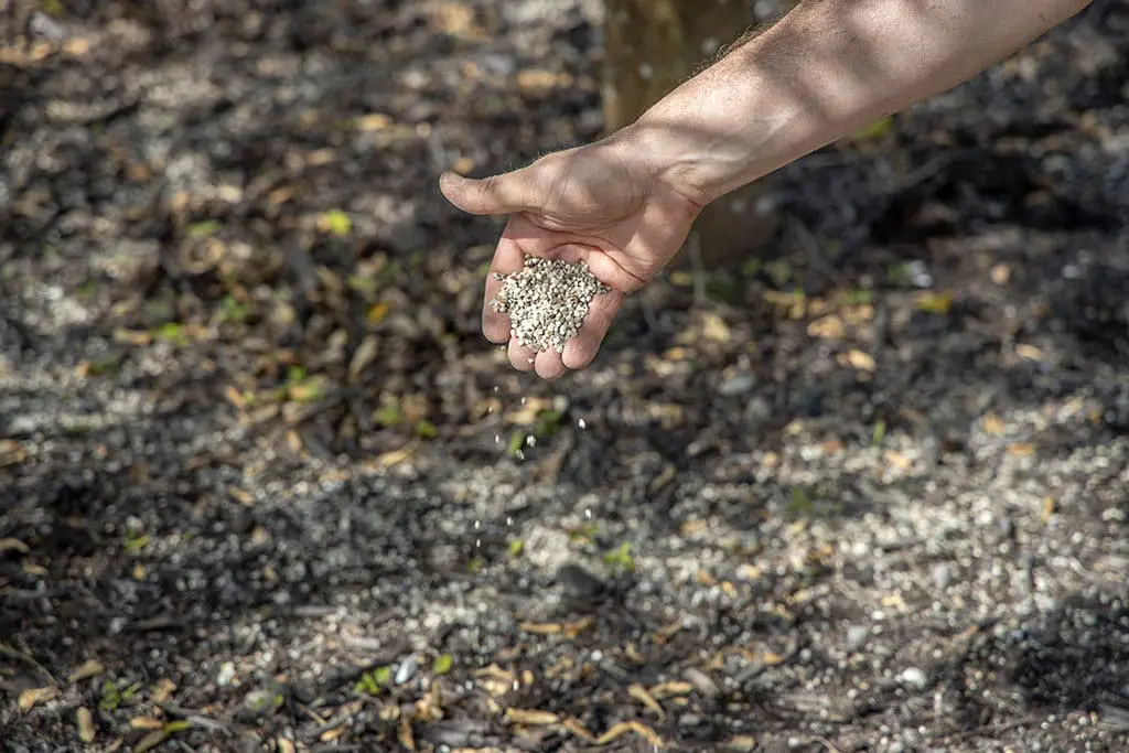 Đubrenje10 | Moje Dvorište Đubrenje | Moje Dvorište
