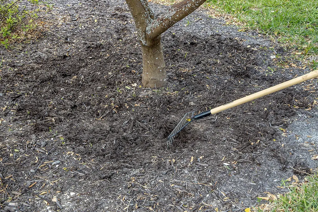 Đubrenje11 | Moje Dvorište Pažlјivo unesite hranlјive materije u površinu tla ako je moguće | Moje Dvorište
