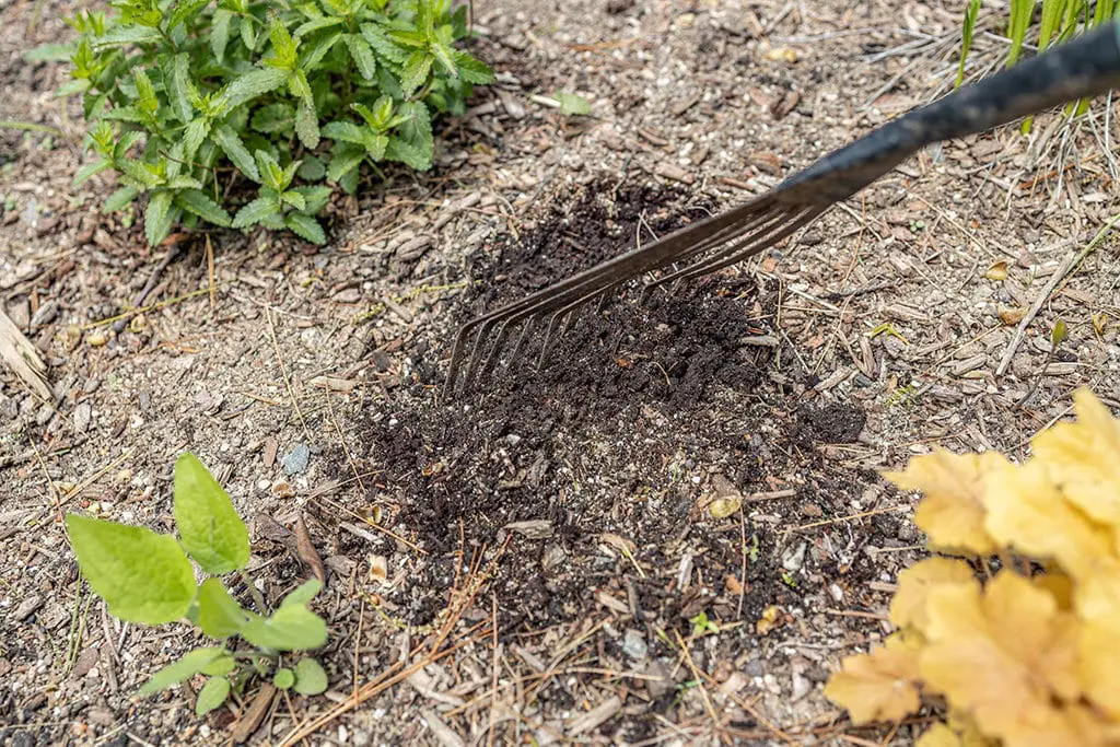 Đubrenje13 | Moje Dvorište Uneti suva organska đubriva u zemlјu nakon posipanja | Moje Dvorište