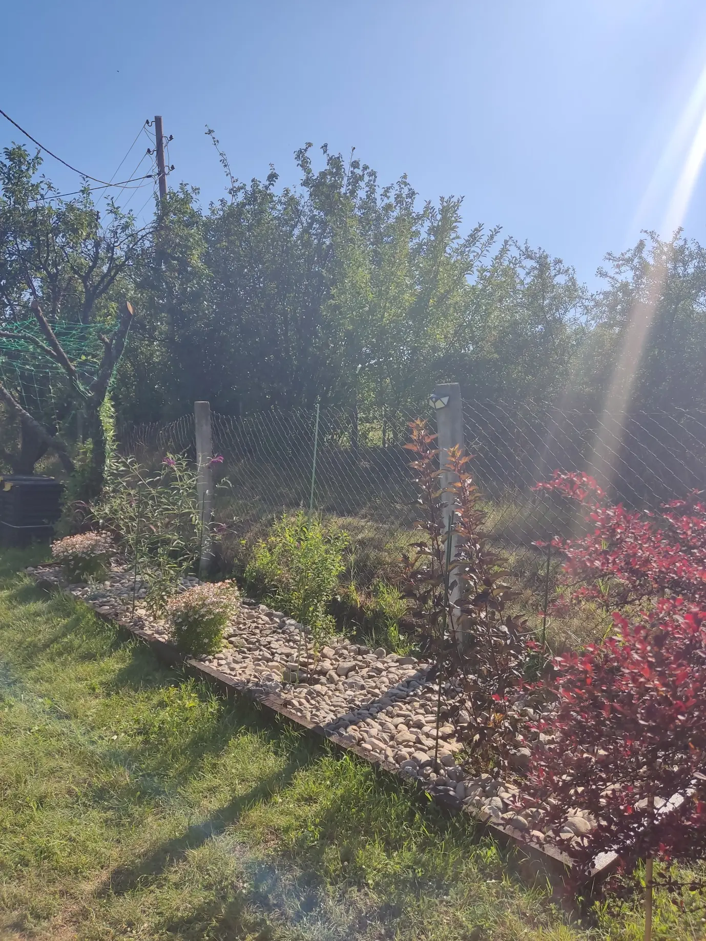 Malčaranje12 | Moje Dvorište Trajna i jeftina kombinacija | Moje Dvorište