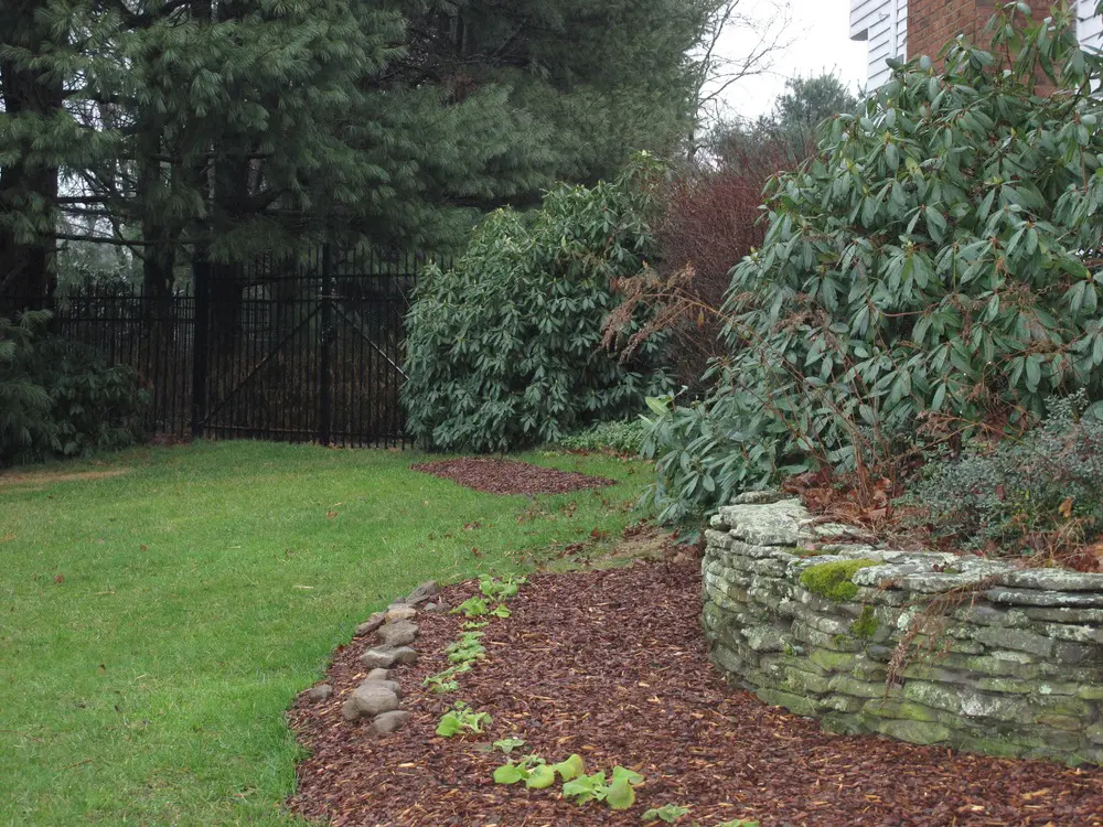 Malčaranje4 | Moje Dvorište Malč od borove kore | Moje Dvorište