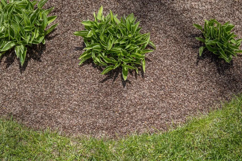 Malčaranje7 | Moje Dvorište Lakši malč – malč od lјuske helјde | Moje Dvorište