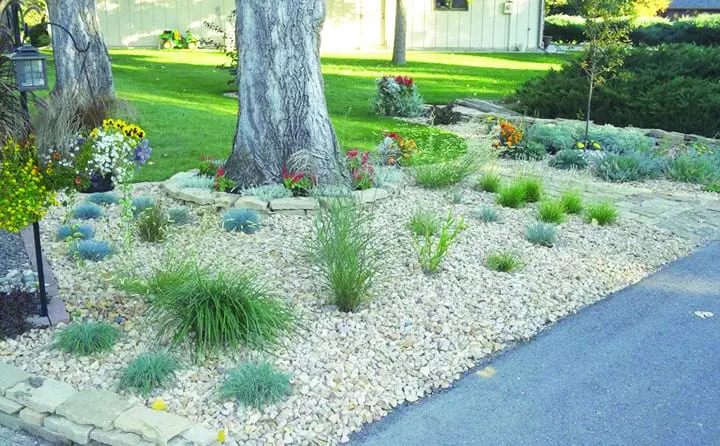 Malčiranje | Moje Dvorište Malčiranje | Moje Dvorište