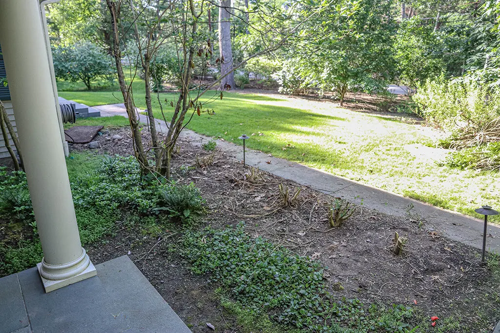 Orezivanje19 | Moje Dvorište Totalna rekonstrukcija posle | Moje Dvorište