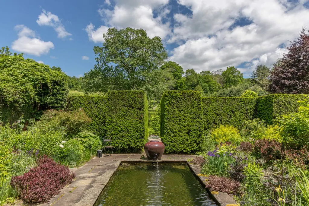 Orezivanje26 | Moje Dvorište Šišanje za formalni izgled | Moje Dvorište