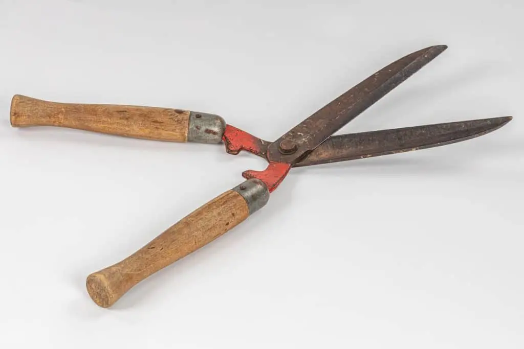 Orezivanje27 | Moje Dvorište Velike ručne makaze | Moje Dvorište