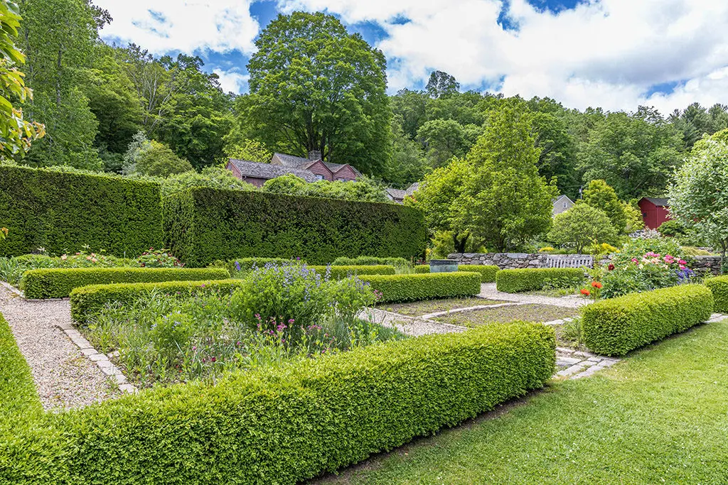Orezivanje3 | Moje Dvorište Orezivanje pomaže u održavanju izgleda vaših bilјaka | Moje Dvorište