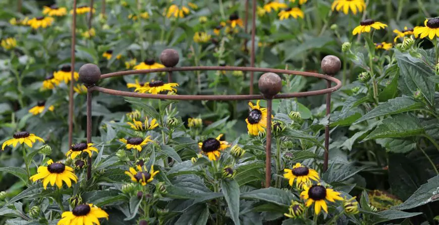 potpora4 | Moje Dvorište Potpora | Moje Dvorište