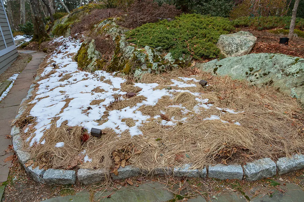 Zimovanje2 | Moje Dvorište Rasprostrite seno preko osetljivih biljaka protiv izmrzavanja | Moje Dvorište