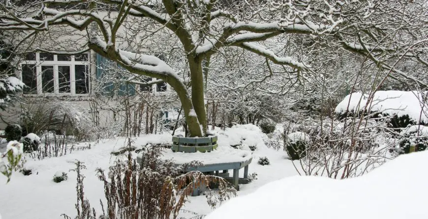 Vrt zimi | Moje Dvorište Vrt zimi | Moje Dvorište