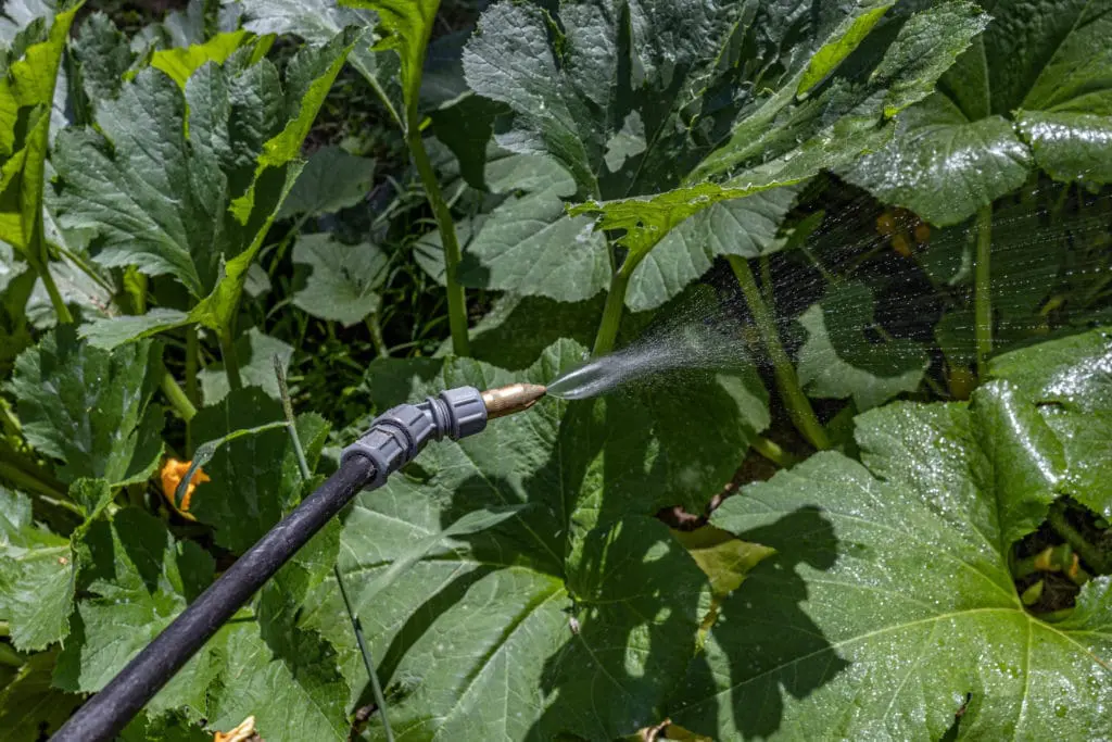 štetočine15 | Moje Dvorište Uvek primenite pesticide prema uputstvima na etiketi – Etiketa je zakon | Moje Dvorište