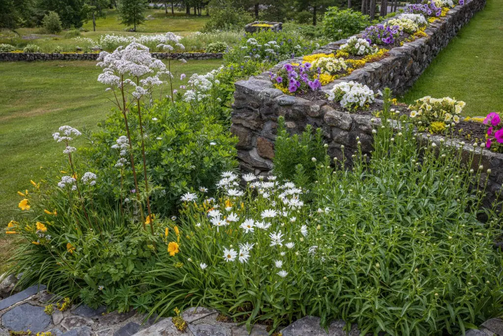 štetočine3 | Moje Dvorište Održavajte svoju baštu zdravom da biste smanjili štetočine | Moje Dvorište