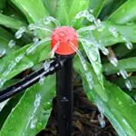 Bubblers | Moje Dvorište Bubblers | Moje Dvorište