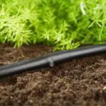 Soaker Drip Line | Moje Dvorište Soaker Drip Line | Moje Dvorište